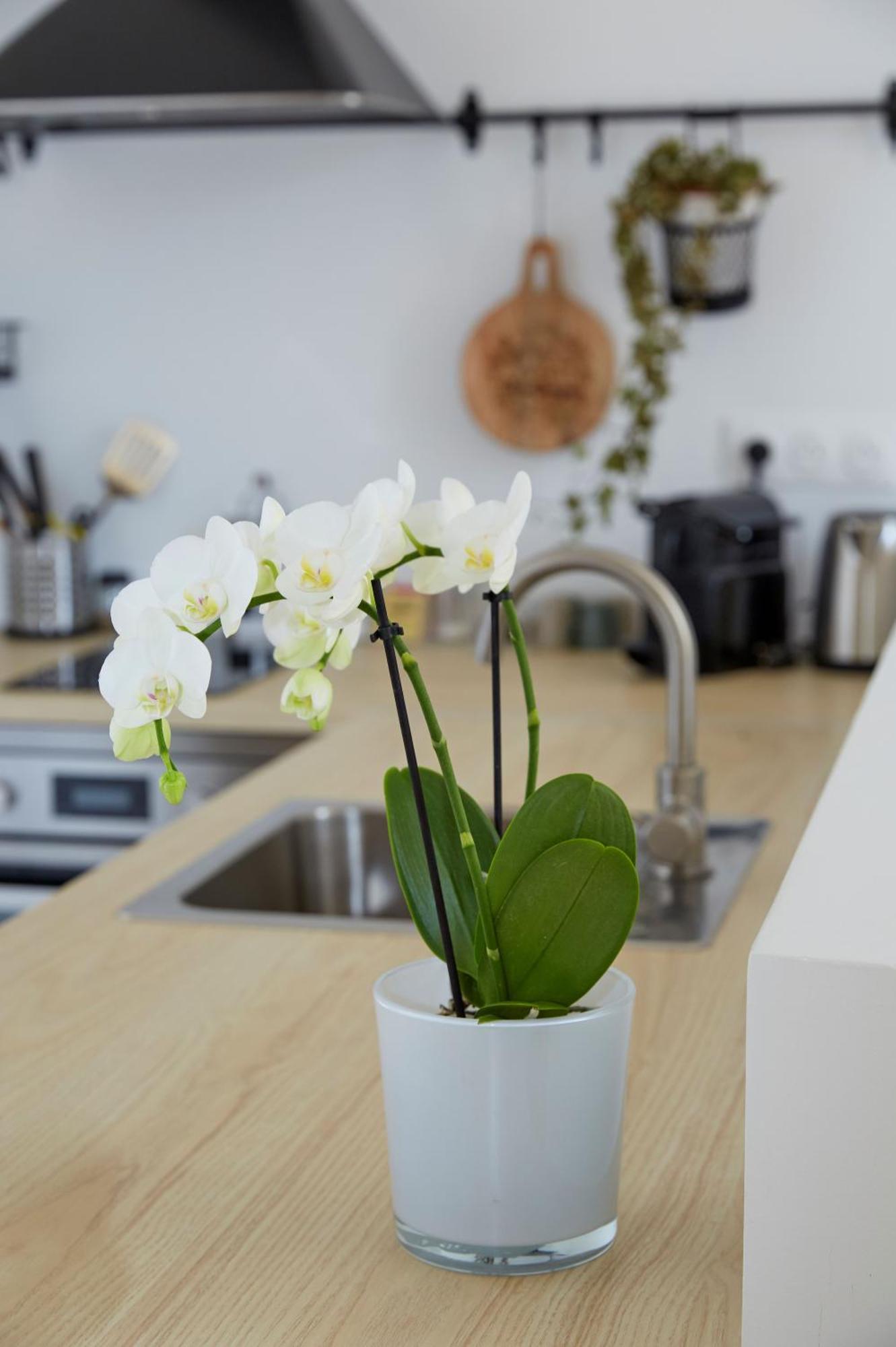 La Bertonnerie En Champagne Bed & Breakfast Prunay Luaran gambar